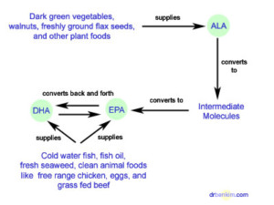 Chart describing the function of Omega 3